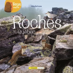 Couverture du livre "Roches du Québec"