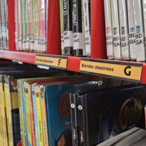 Photo montrant les rayonnages d'une bibliothèque scolaire. Les étiquettes se lisent "Bandes dessinées - F" et "Bandes dessinées - G".