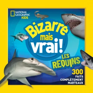 2ecycle_Les requins